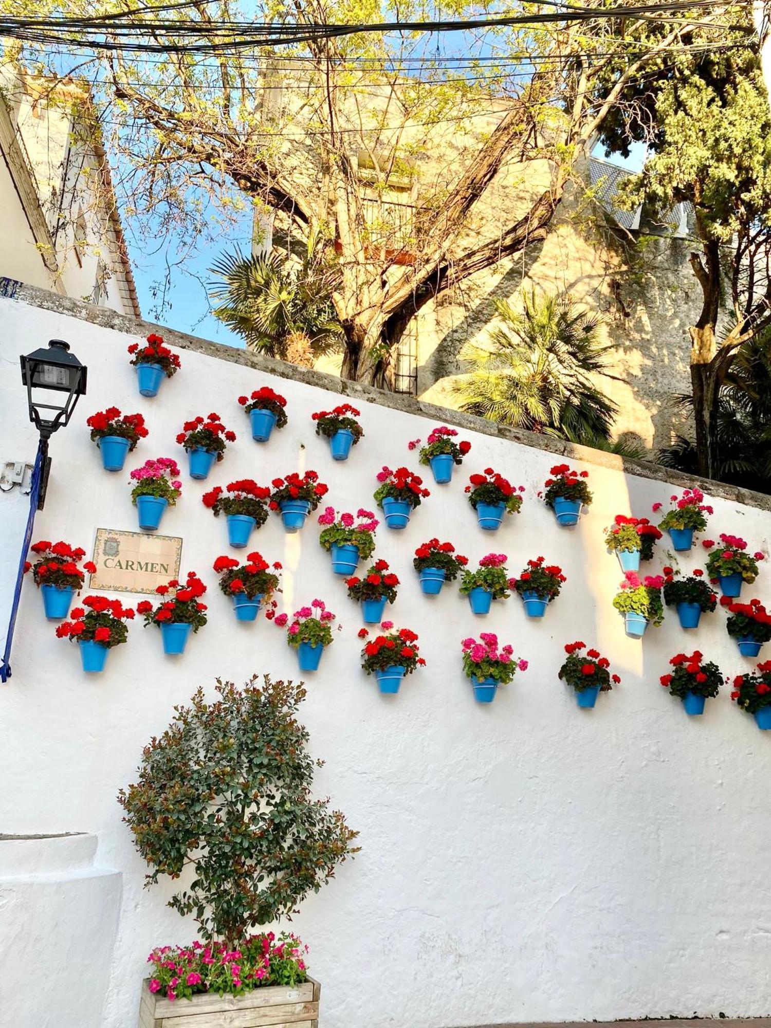 Studio Oasis In 2º Line Beach In The Centre Of Marbella - Eaw Homes Exterior photo